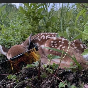 Meet your Posher, Marley